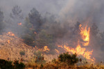 Italy, Alcamo ( Trapani - Sicily): The heat wave and drought are favoring numerous fires throughout Sicily.. Alcamo woods still in fire