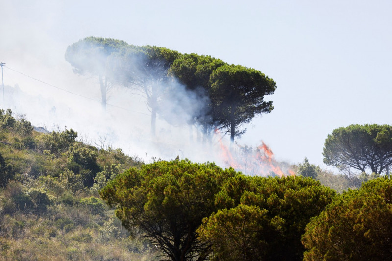 Italy, Monreale (Palermo - Sicily): The heat wave and drought are favoring numerous fires throughout. Fire on Mount Caputo. Many people evacuated in the Caputotello area. Helicopters and Canadairs at work