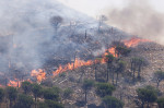 Italy, Monreale (Palermo - Sicily): The heat wave and drought are favoring numerous fires throughout. Fire on Mount Caputo. Many people evacuated in the Caputotello area. Helicopters and Canadairs at work