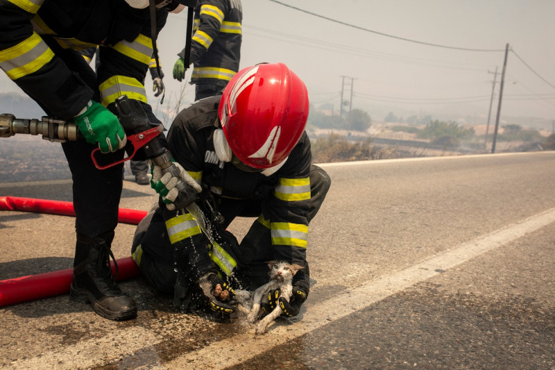 Forest fires in Greece - Rhodes