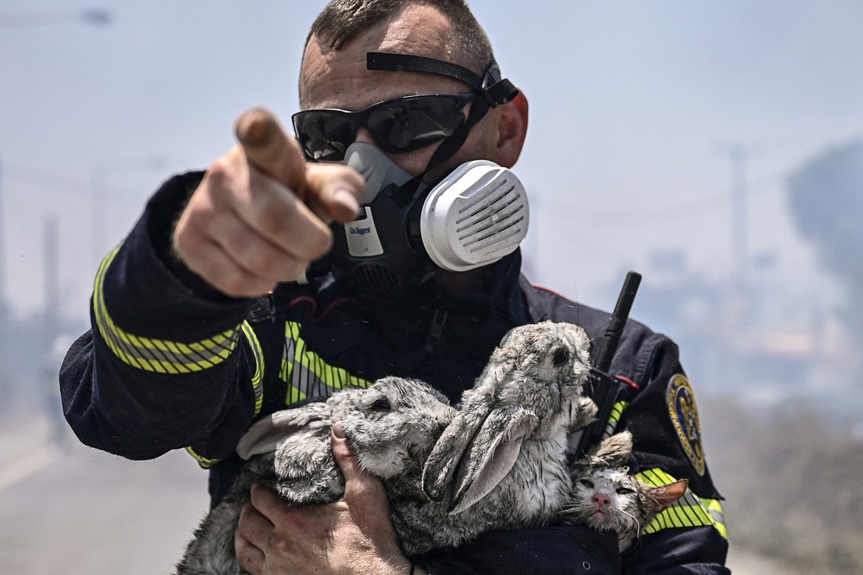 "Se auzeau zgârieturi ca și când se zbăteau animăluțe". Povestea fotografiilor care au emoționat toată lumea, spusă de un pompier român