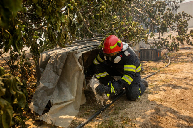 Forest fires in Greece - Rhodes