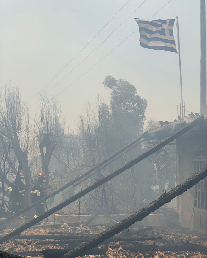 Pompierii români salvează animale în insula Rhodos. Sursa foto: IGSU