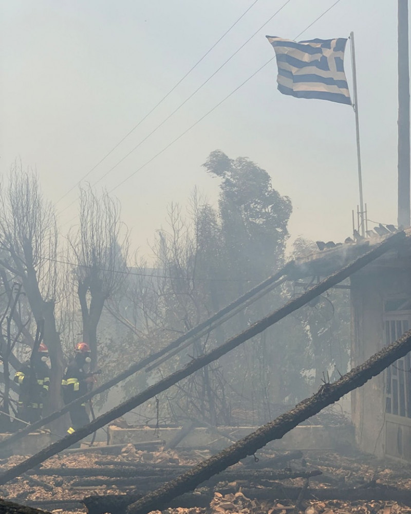 Pompierii români salvează animale în insula Rhodos. Sursa foto: IGSU