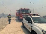 Pompierii români salvează animale în insula Rhodos. Sursa foto: IGSU