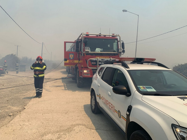 Pompierii români salvează animale în insula Rhodos. Sursa foto: IGSU