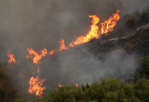 34 de oameni au murit în urma incendiilor de vegetaţie din Algeria, printre care şi 10 soldaţi
