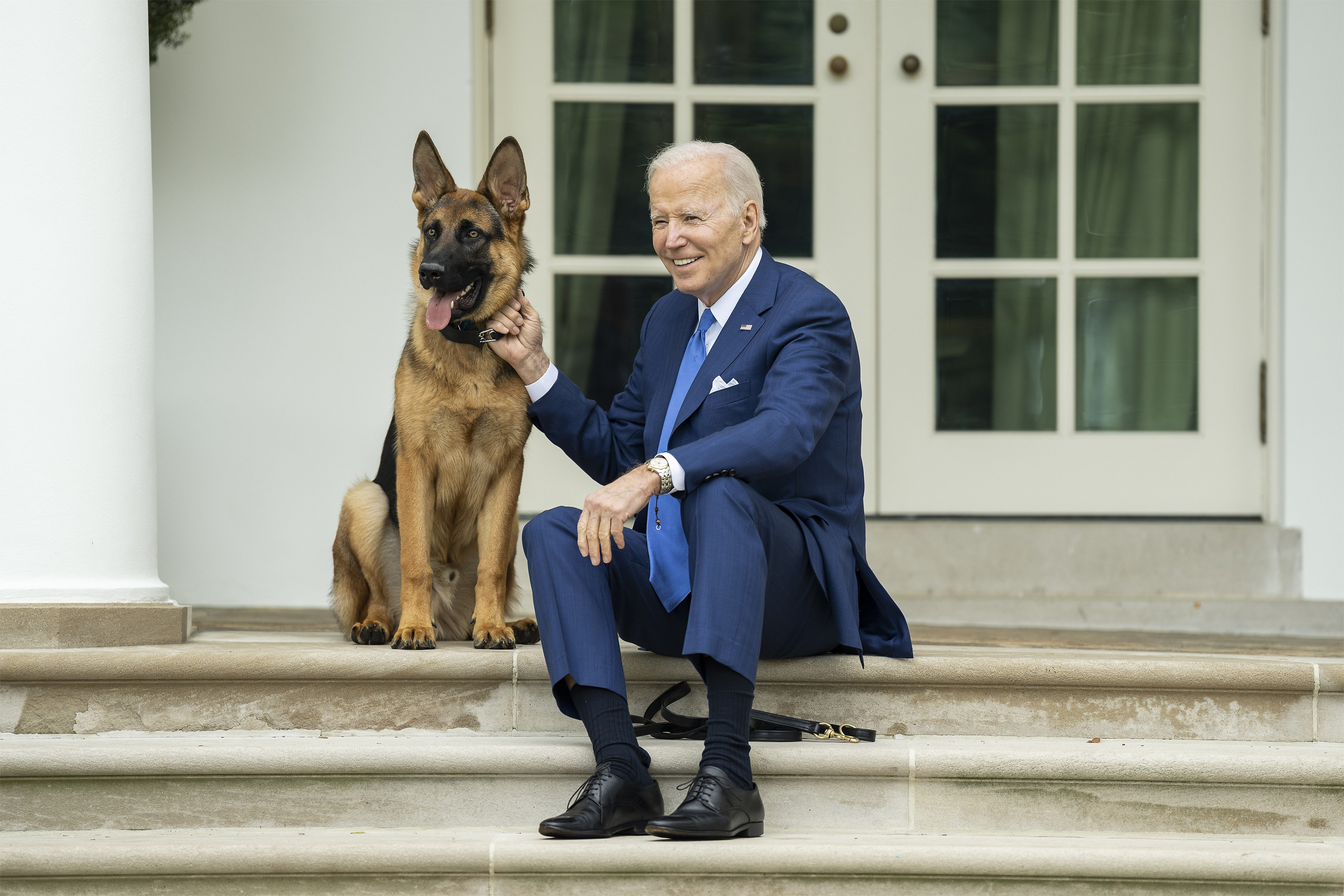 Unul dintre câinii lui Biden a provocat mai multe incidente la Casa Albă. O gardă de corp a ajuns la spital