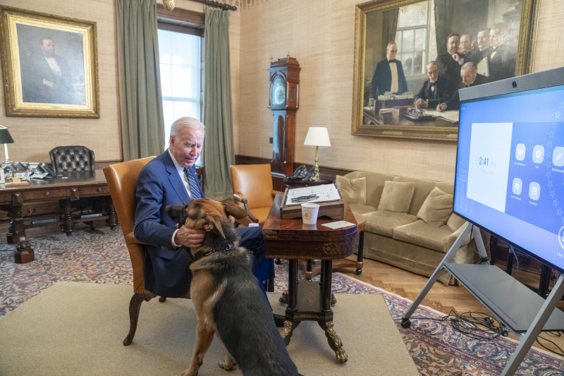 Biden With Dog Commander In the White House