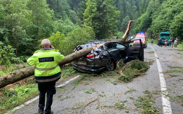 Furtuni violente în România. Un copac a căzut peste o mașină pe Transalpina. O femeie a murit