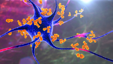 ilustrație cu un neuron atacat de anticorpi
