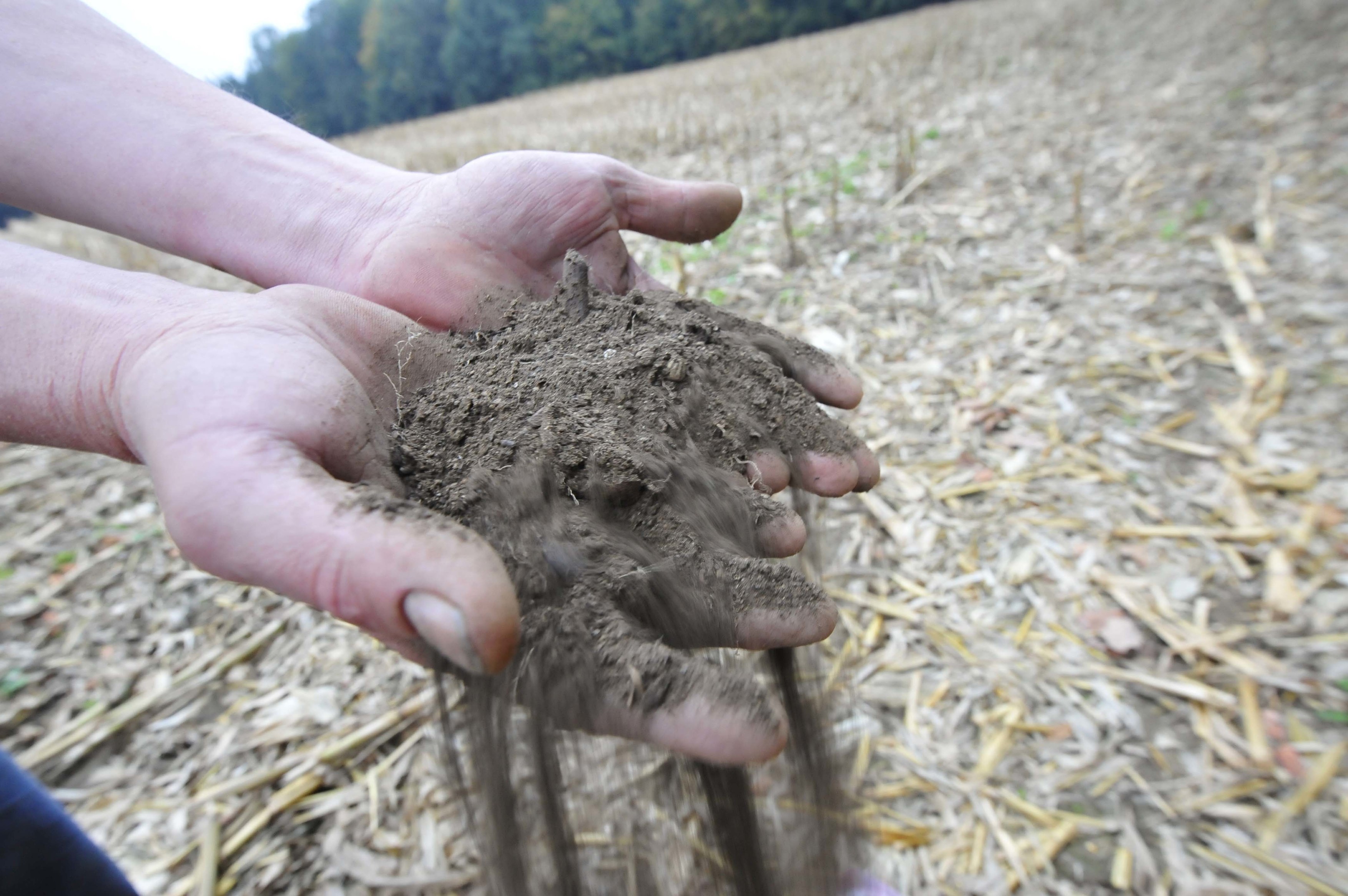 În plină luptă cu schimbările climatice, România nu are o strategie națională pentru combaterea deșertificării terenurilor
