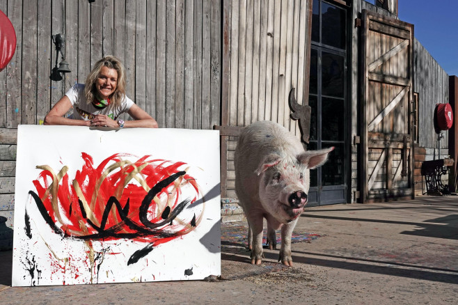 Pigcasso, porcul ale cărui tablouri abstracte s-au vândut cu 1 milion de dolari