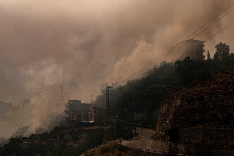 incendii-calabria-profimedia3