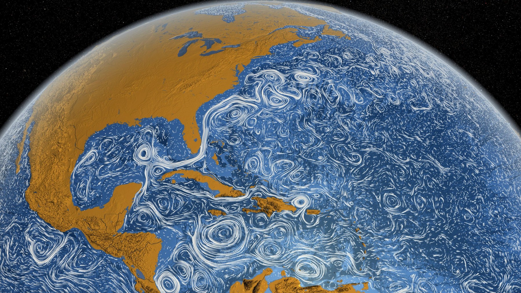 Cel mai bătrân animal descoperit vreodată ar putea dezvălui când un curent oceanic crucial va suferi un colaps catastrofal