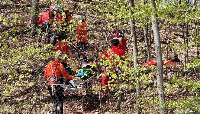 Un tânăr de 20 de ani care a plecat în drumeţie către cabana familiei a fost găsit spânzurat în pădure