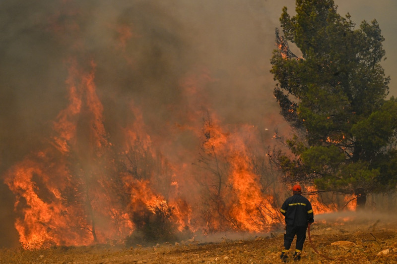 incendii-grecia (18)