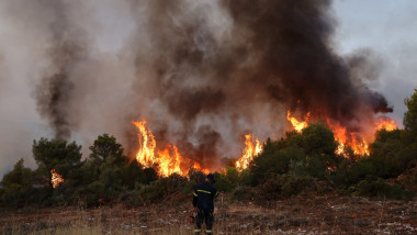 Incendii în Grecia. Foto Profimedia (4)
