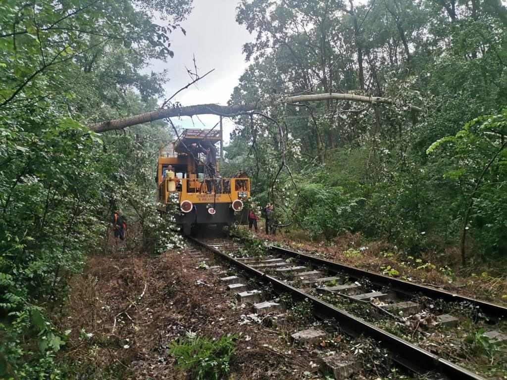 Vijeliile de noaptea trecută au blocat mersul trenurilor pe mai multe rute. Zeci de copaci și stâlpi de beton au fost aruncați pe linii