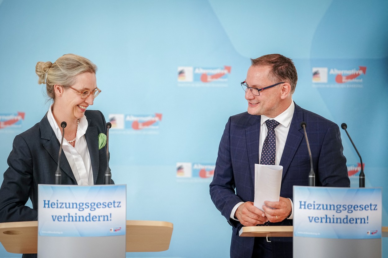 Partidul german de extremă dreapta, AfD, urcă din nou în sondaje și a ajuns pe locul doi în intenția de vot