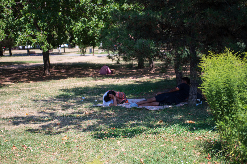 canicula-bucuresti-6703