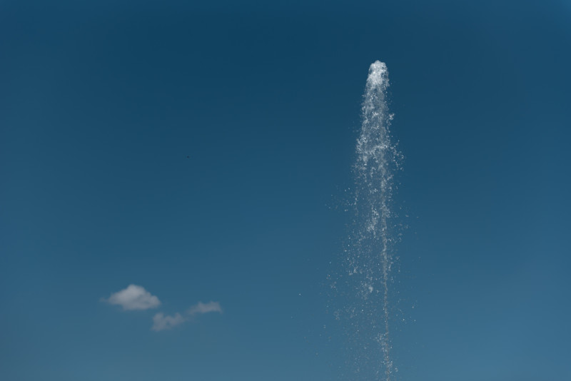 canicula-bucuresti-6870