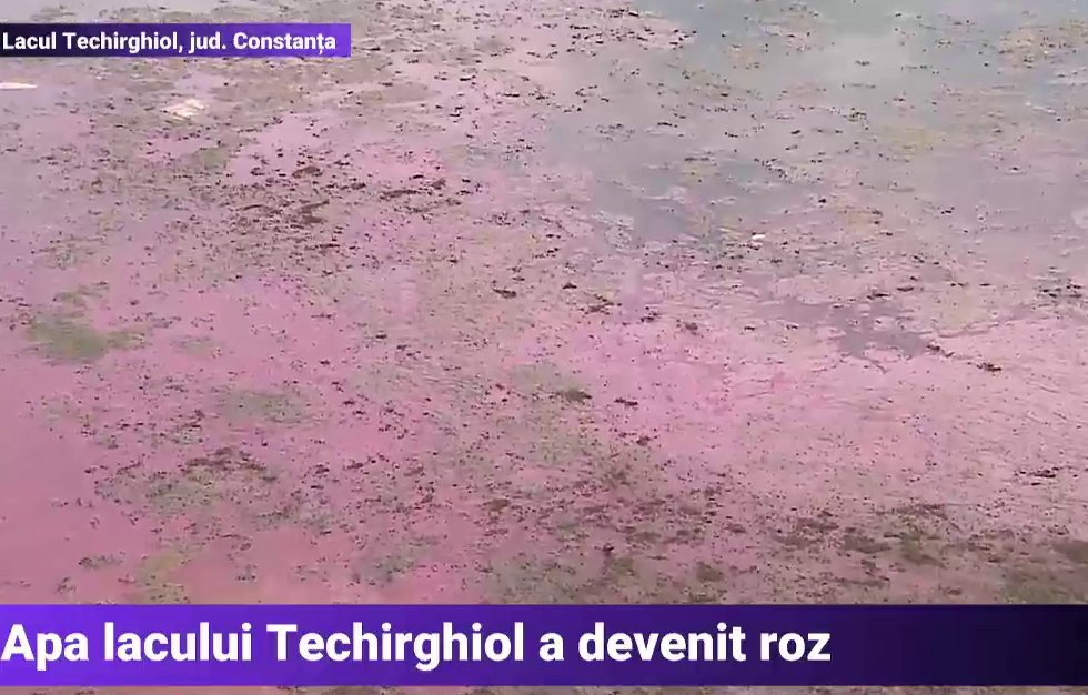 Fenomen spectaculos la Techirghiol, unde apa lacului a devenit roz. Care este explicația