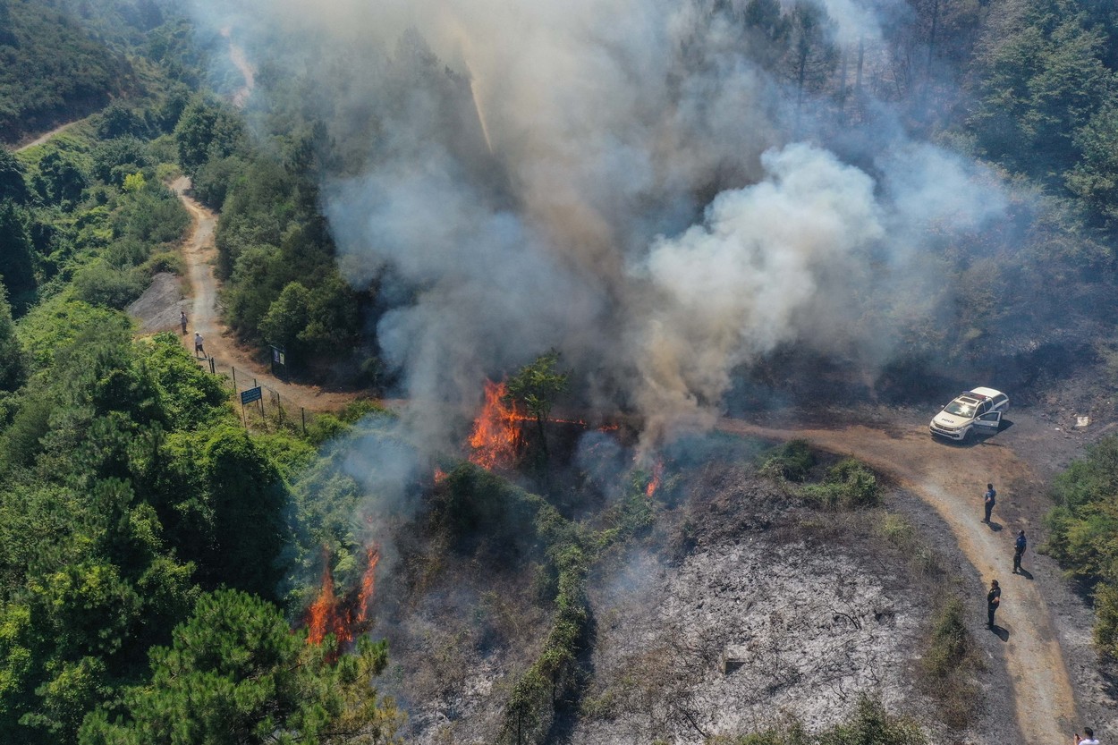 O pădure din Turcia a ars după ce o mașină a luat foc, iar șoferul a abandonat-o pe marginea drumului