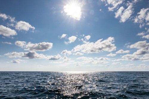 Copernicus: Temperatura oceanelor a atins un nou record