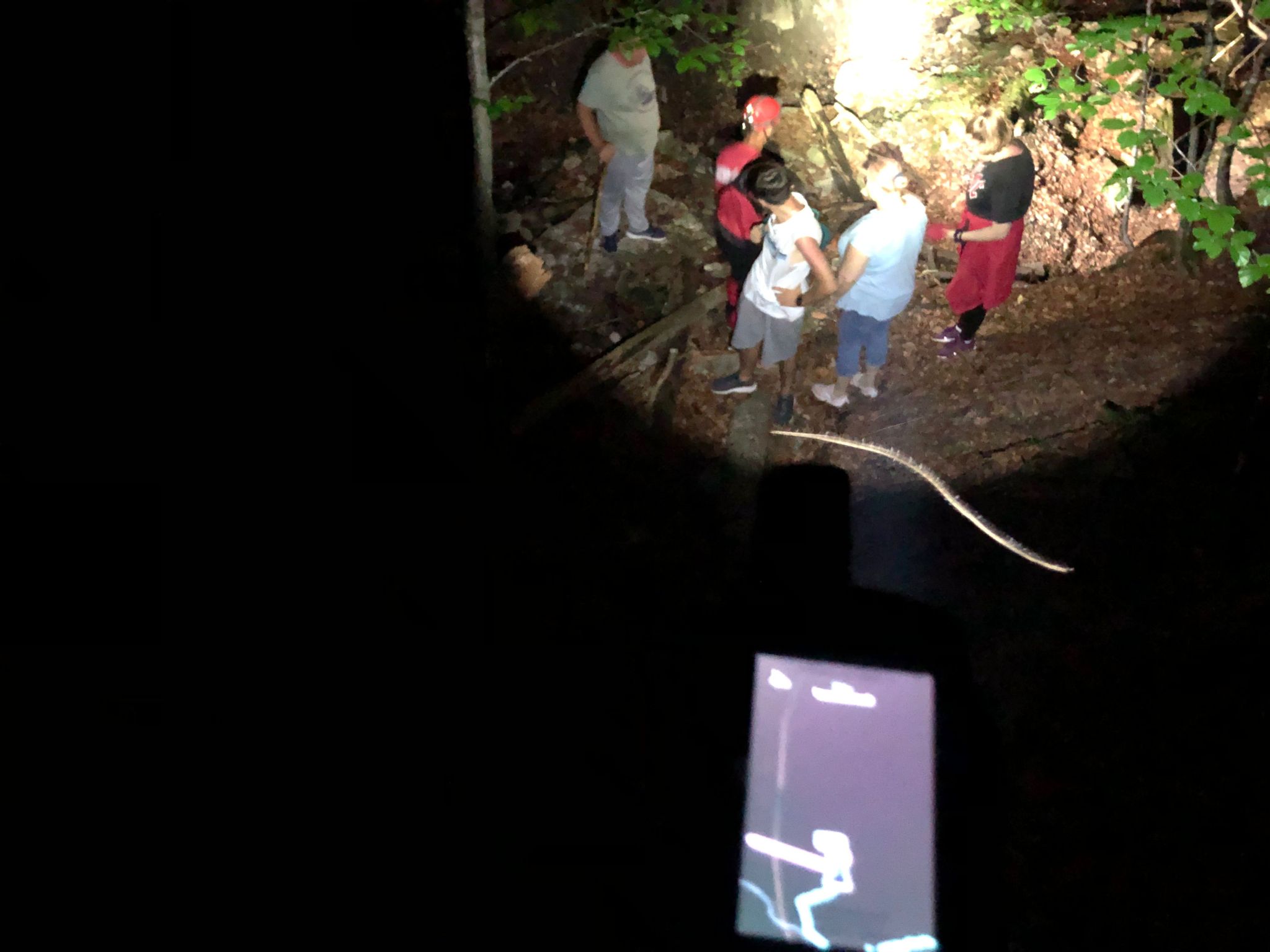 Patru turişti rătăciţi pe munte au fost găsiţi de salvamontişti în albia unui torent secat