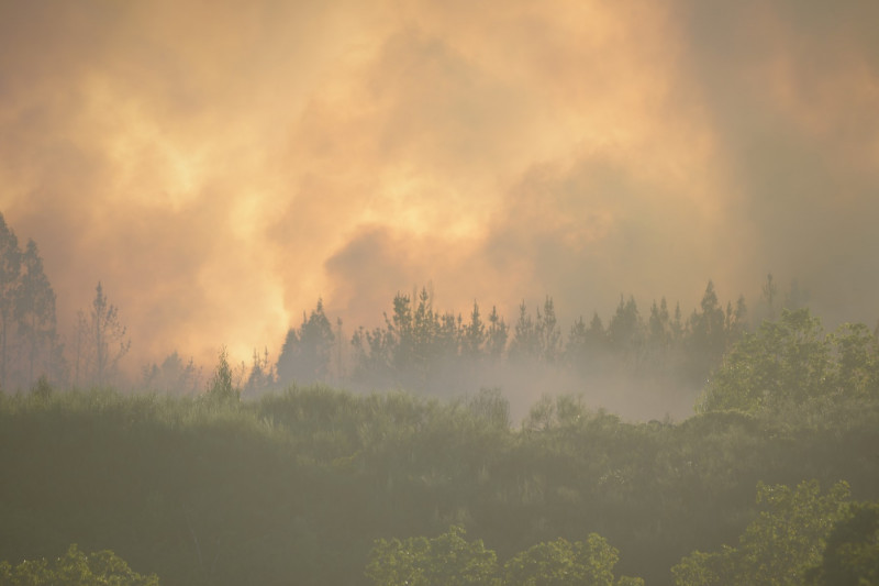 A fire already under control burns 10 hectares in the parish of Belesar in Vilalba (Lugo).