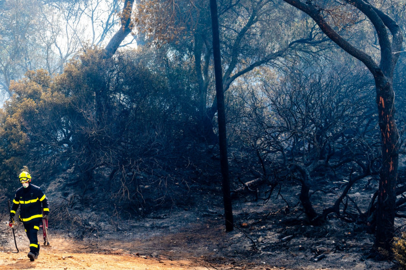 Puerto Real (Cádiz) fire stabilized
.