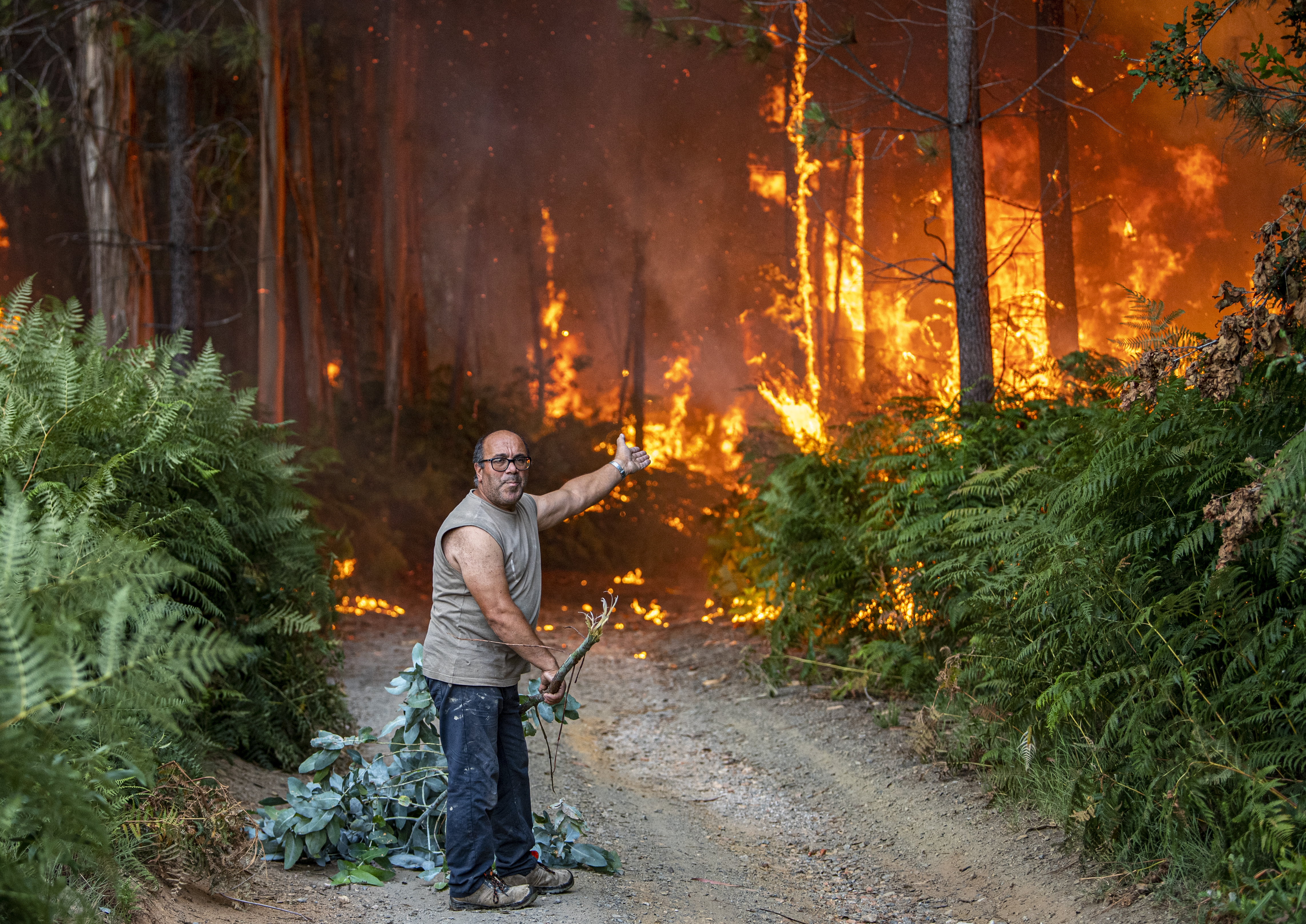Cum luptă Europa cu incendiile de păduri. Care este abordarea corectă - stingere sau prevenire? (analiză DW)