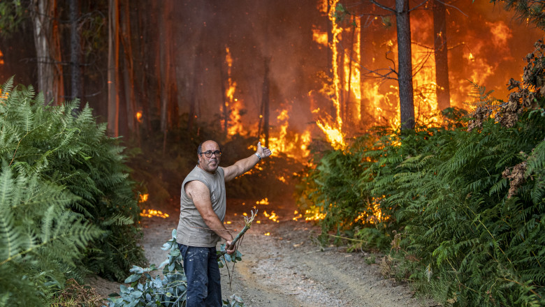 Bărbat arată spre un incendiu într-o pădure