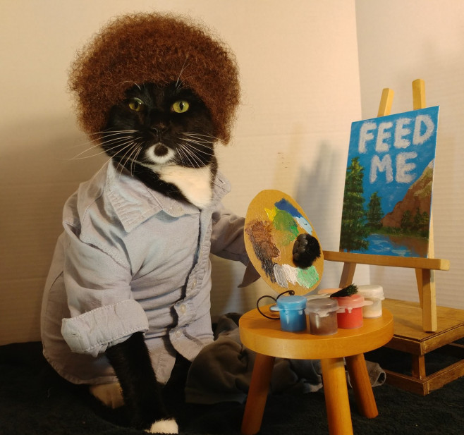 CATS IN COSPLAY