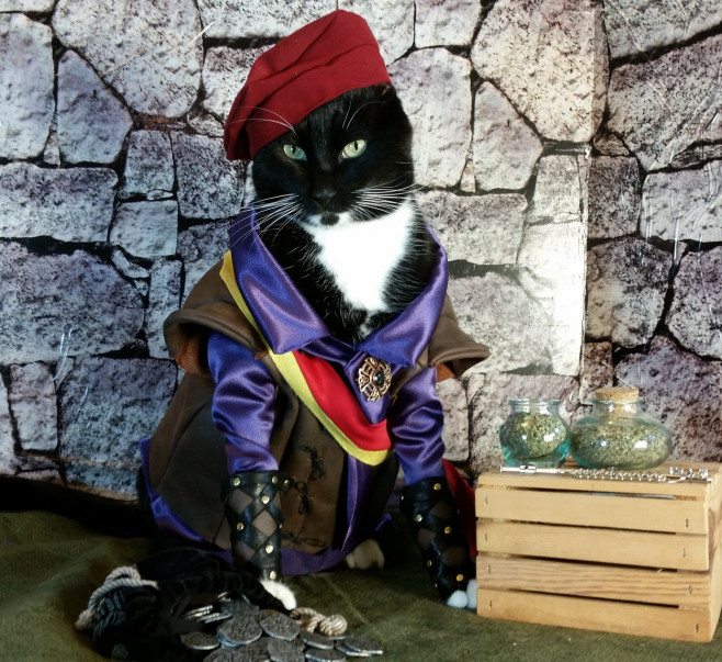 CATS IN COSPLAY