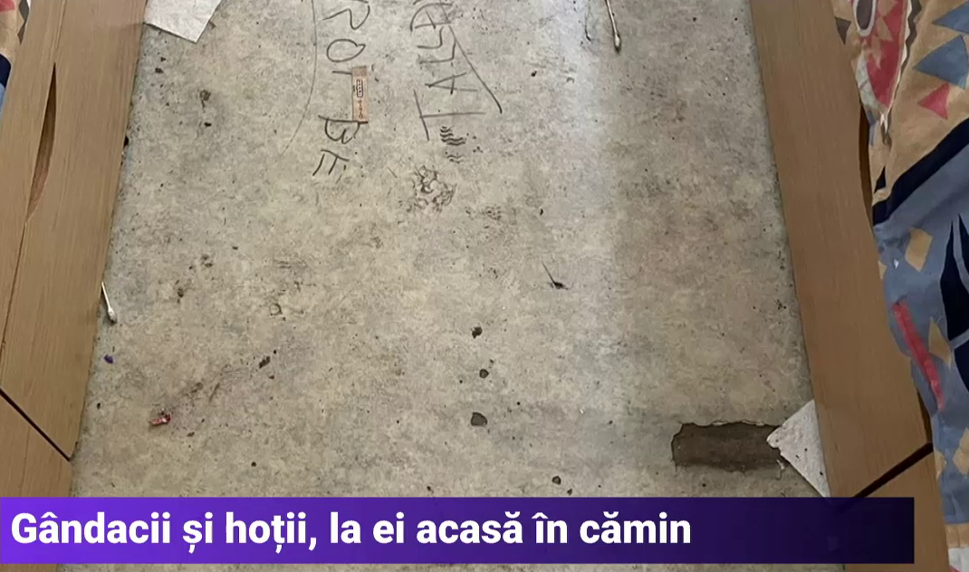 „Mizerie, gândaci și hoți”. Studenții Universității din București se plâng de condițiile din cămine