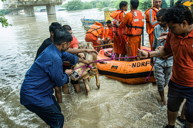 Flood in New Delhi, India Strength in Solidarity: A heartwarming moment unfolds as the National Disaster Response Force