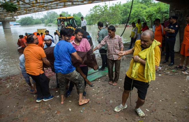 Flood in New Delhi, India In the Face of Adversity: Local residents demonstrate remarkable unity as they join forces wit