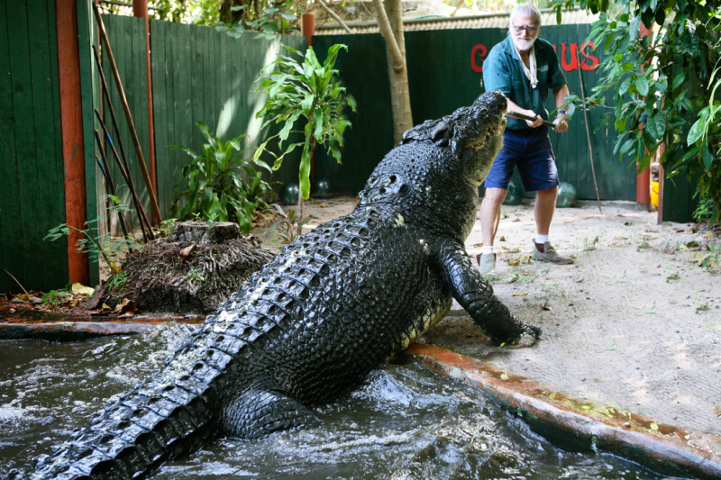 Real Life Crocodile Dundee