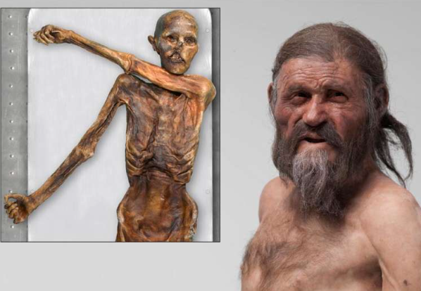 Cum arăta Otzi, omul preistoric al ghețurilor. Analiza genomului său arată de ce nu i s-a găsit aproape niciun fir de păr pe corp