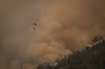 Wildfires in Tenerife Island reach Level 2 severity