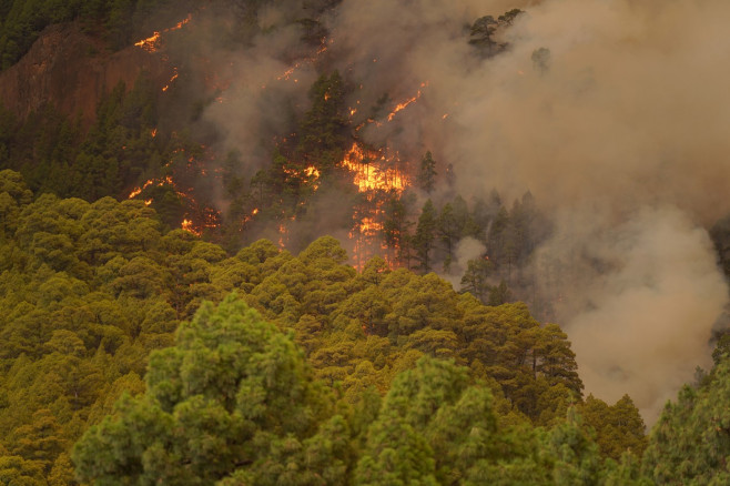 Fire in Tenerife forces evacuation of four municipalities