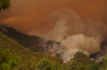 Tenerife Wildfire Prompts Evacuations And Road Closures