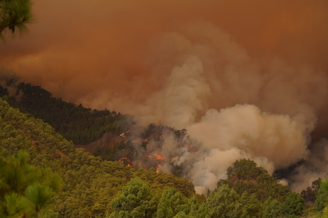 Tenerife Wildfire Prompts Evacuations And Road Closures