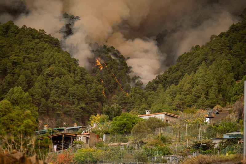 Wildfires in Tenerife Island reach Level 2 severity