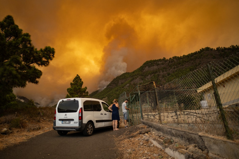 Wildfires in Tenerife Island reach Level 2 severity