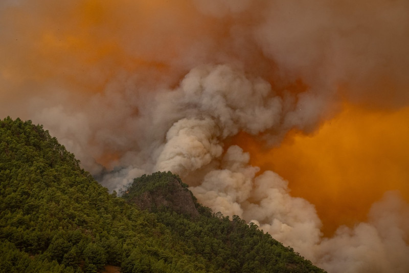 Wildfires in Tenerife Island reach Level 2 severity