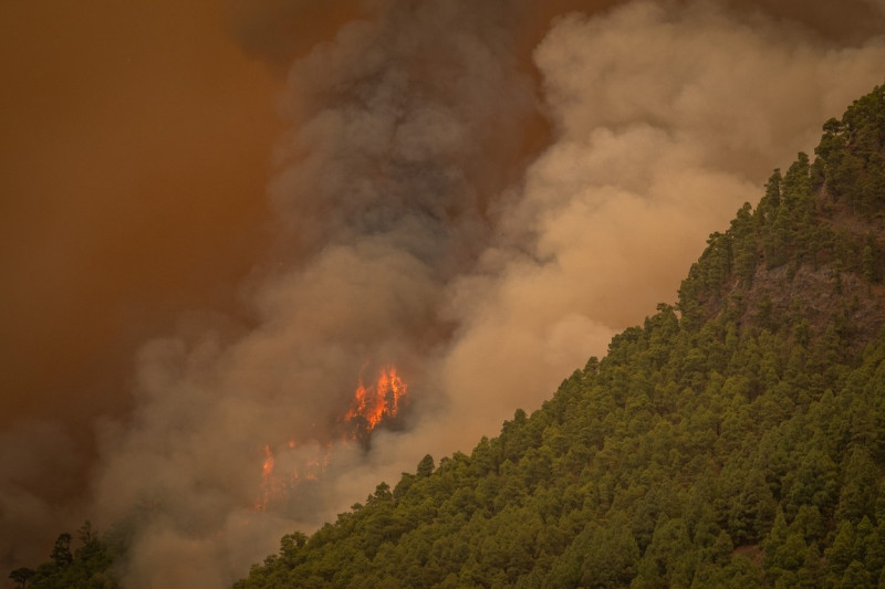 Wildfires in Tenerife Island reach Level 2 severity