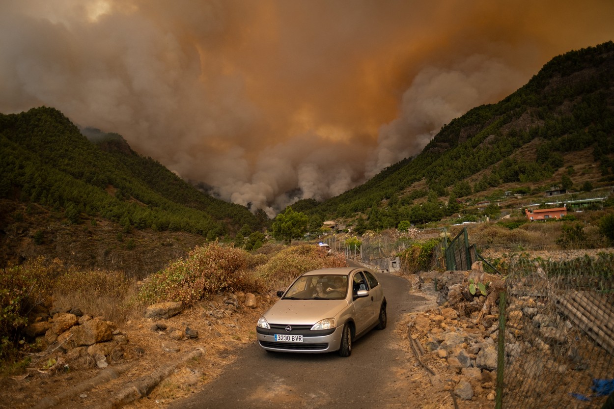 Focul a scăpat de sub control în Tenerife. Imagini de pe insulă, unde sute de pompieri se luptă cu incendiile devastatoare